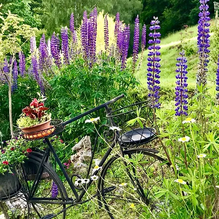 La Grange De Gassiole * Campan