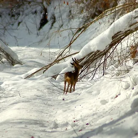 La Grange De Gassiole *