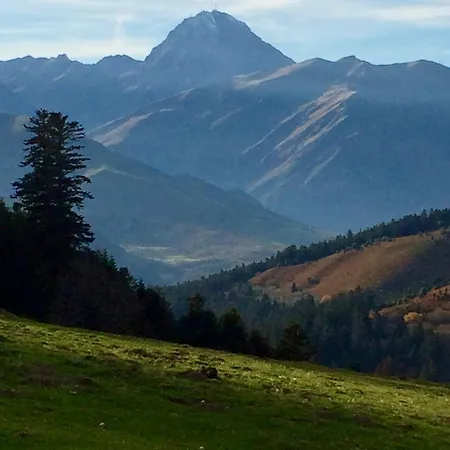 Holiday home La Grange De Gassiole