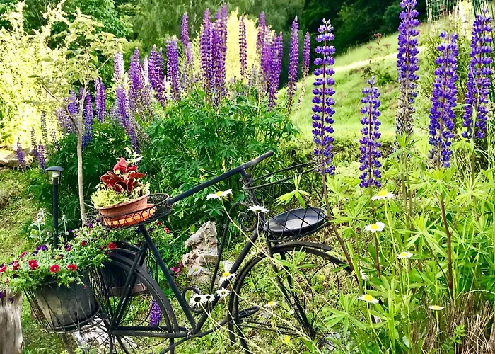 La Grange De Gassiole * كامبان