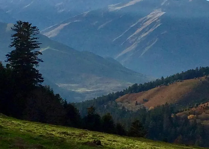 بيت للعطل La Grange De Gassiole